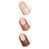 Sally Hansen Insta-Dri Nail Color - 338 Coral Commotion 0.5 oz Nail Polish