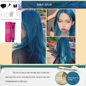 Ammonia-free Hair Color Paste Monochrome Paste Cover White Hair Multi-segment Color One-step Black Tea Gray Blue Black Hair Dye (Option: WG28 Lake Blue-With tools)